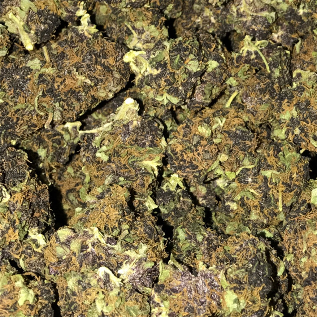 Jesse's Girl marijuana strain flower with berry and coffee flavor and euphoric / uplifted effects - Rare Harvest indica