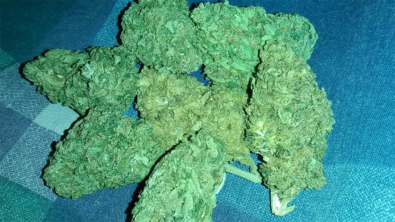 Jesus OG marijuana strain flower with lemon and citrus flavor and focused / uplifted effects - Rare Harvest indica