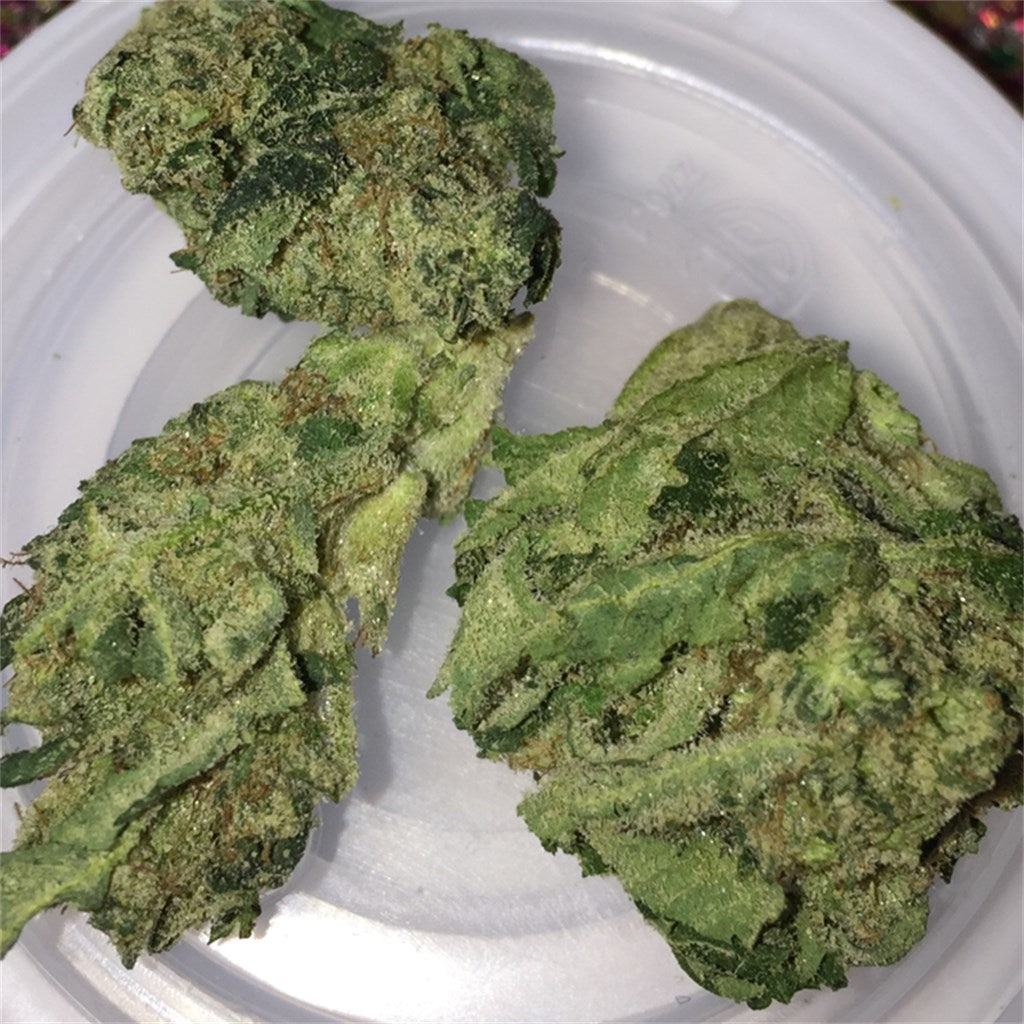 Jet Fuel marijuana strain flower with diesel and chemical flavor and focused / energetic effects - Rare Harvest hybrid