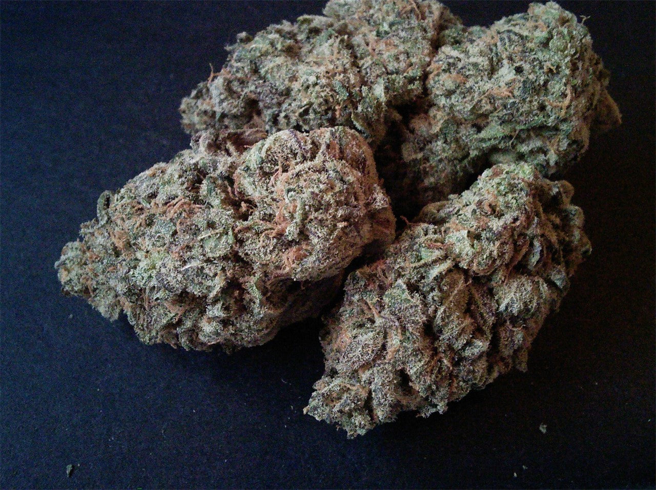 Jimi Hendrix marijuana strain flower with plum and lime flavor and creative / uplifted effects - Rare Harvest hybrid