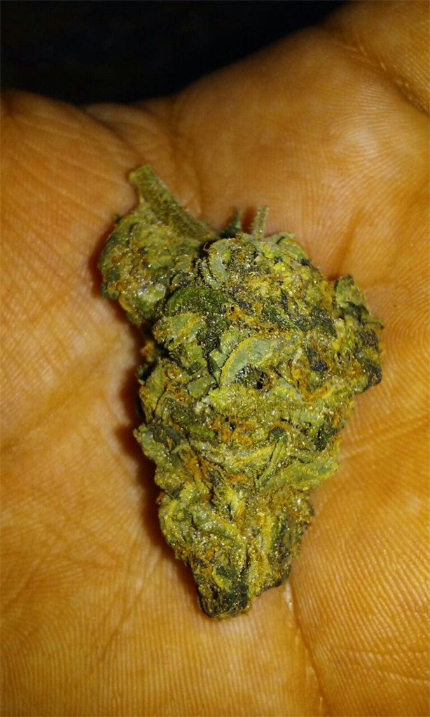Juicy Jack marijuana strain flower with berry and blueberry flavor and energetic / uplifted effects - Rare Harvest hybrid