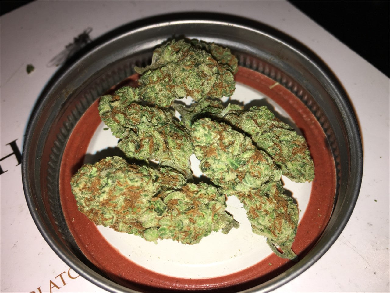 Juliet marijuana strain flower with cheese and pine flavor and energetic / uplifted effects - Rare Harvest hybrid