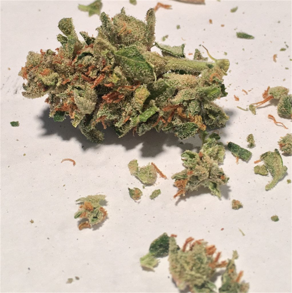 Julius Caesar marijuana strain flower with pungent and pear flavor and focused / uplifted effects - Rare Harvest hybrid