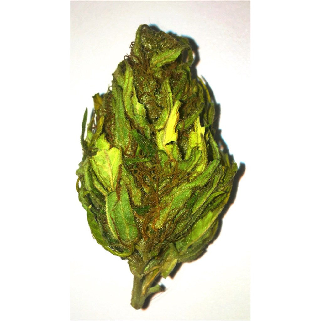 K-Train marijuana strain flower with tree fruit and earthy flavor and euphoric / aroused effects - Rare Harvest indica