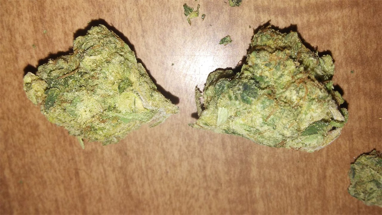 K1 marijuana strain flower with ammonia and pine flavor and energetic / focused effects - Rare Harvest hybrid