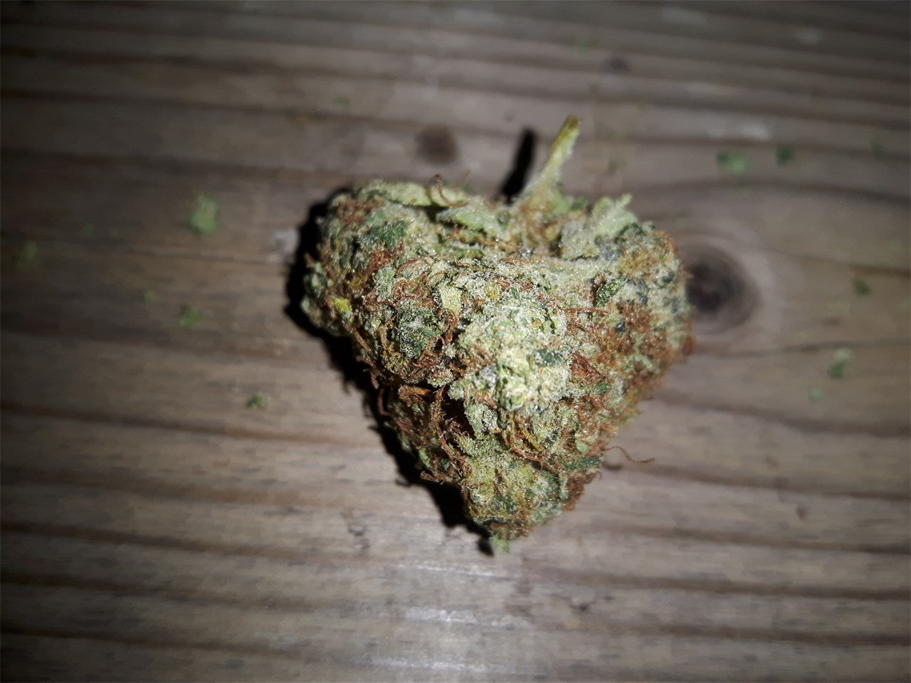 K2 marijuana strain flower with woody and earthy flavor and relaxed / hungry effects - Rare Harvest hybrid