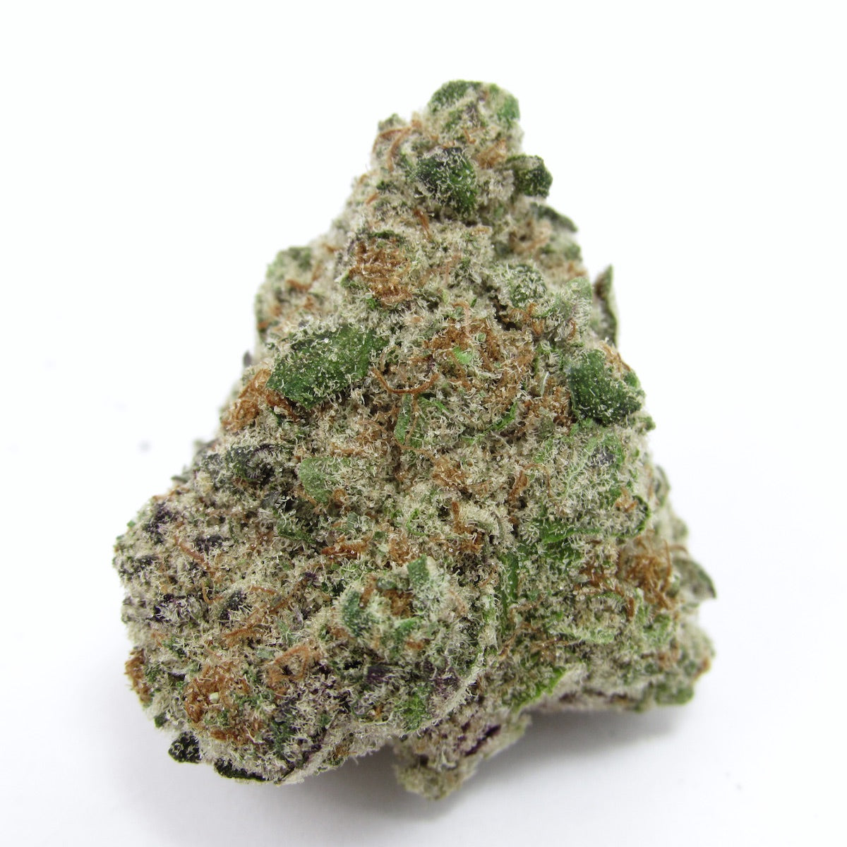 Pink Certz marijuana strain flower with menthol and ammonia flavor and focused / energetic effects - Rare Harvest hybrid