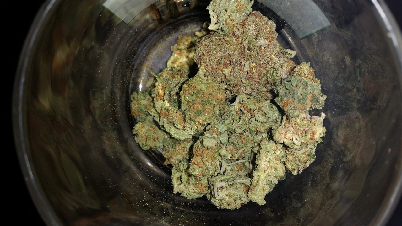Kaia Kush marijuana strain flower with lemon and sweet flavor and focused / uplifted effects - Rare Harvest hybrid