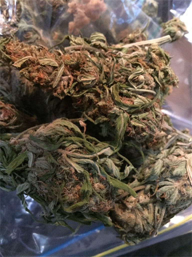 Kali Dog marijuana strain flower with blue cheese and diesel flavor and energetic / uplifted effects - Rare Harvest hybrid