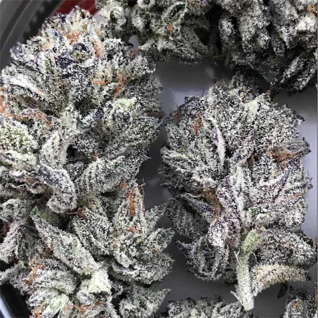 Katsu Bubba Kush marijuana strain flower with flowery and plum flavor and relaxed / sleepy effects - Rare Harvest indica