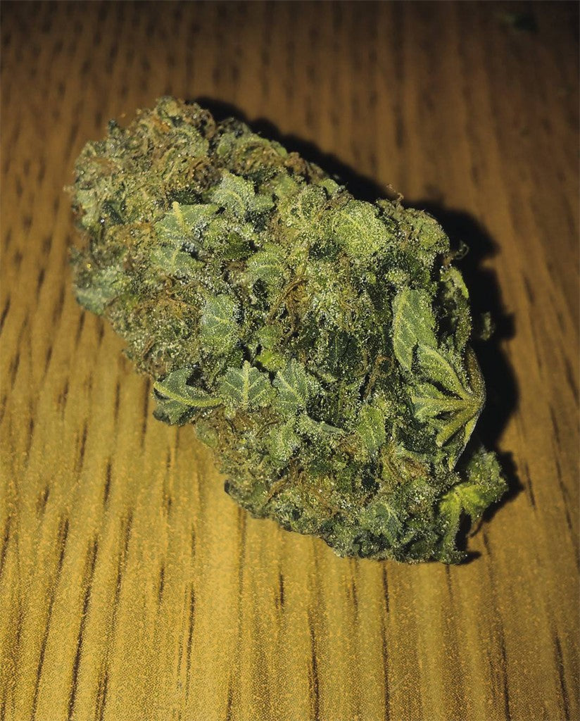 KC 33 marijuana strain flower with lemon and citrus flavor and energetic / hungry effects - Rare Harvest hybrid