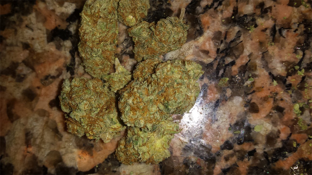 Ken's Kush marijuana strain flower with skunk and berry flavor and aroused / relaxed effects - Rare Harvest hybrid