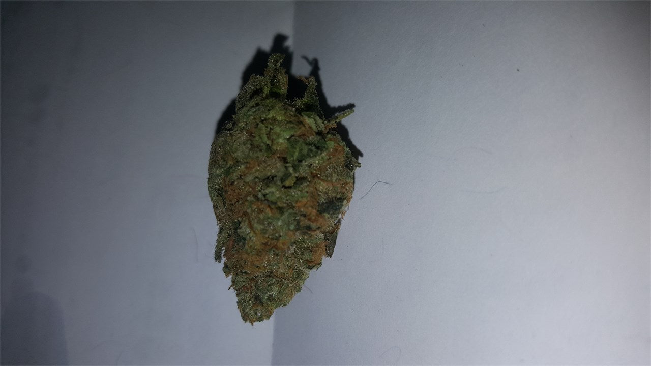 Kid N' Kookies marijuana strain flower with nutty and earthy flavor and hungry / tingly effects - Rare Harvest hybrid