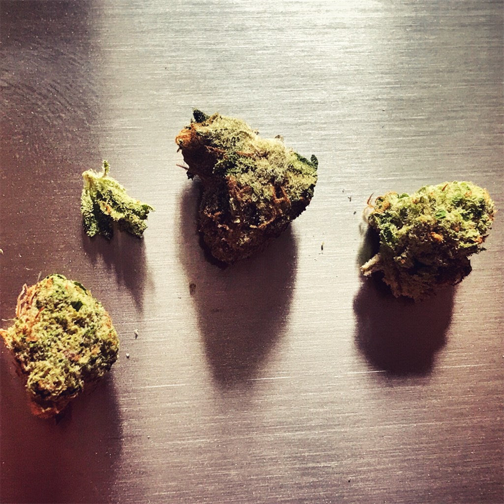 Kimbo Kush marijuana strain flower with earthy and peach flavor and relaxed / sleepy effects - Rare Harvest hybrid