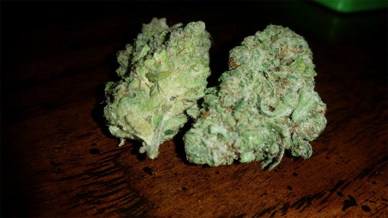 King Kong marijuana strain flower with skunk and pungent flavor and relaxed / focused effects - Rare Harvest hybrid