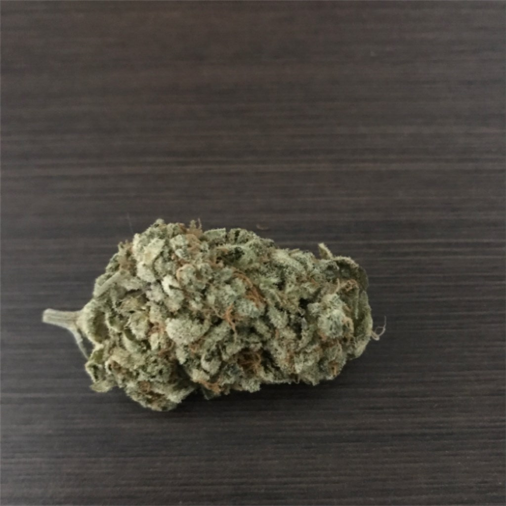 King Louis marijuana strain flower with pine and woody flavor and sleepy / relaxed effects - Rare Harvest indica