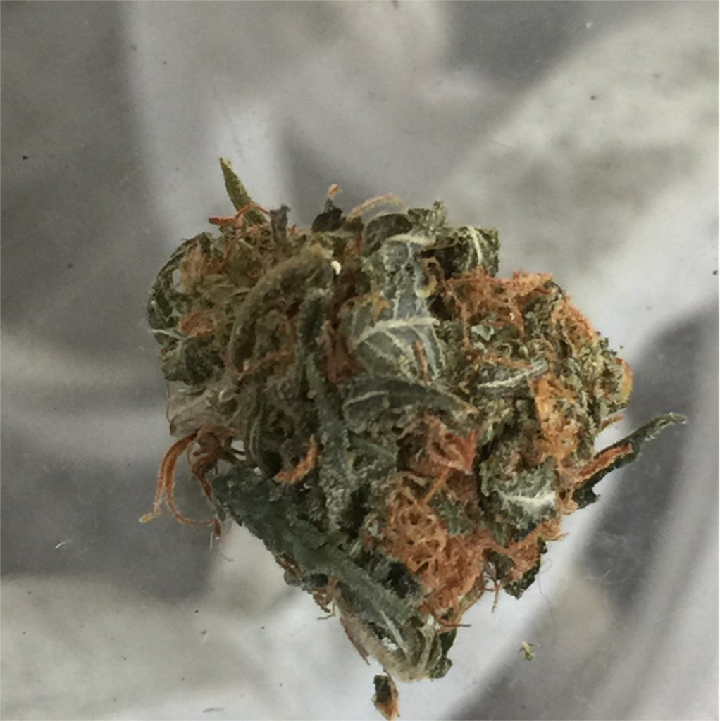 King's Kush marijuana strain flower with lavender and flowery flavor and sleepy / relaxed effects - Rare Harvest indica