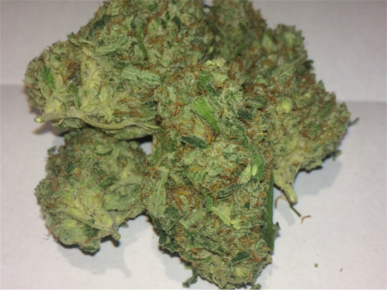 Kona Gold marijuana strain flower with tropical and pineapple flavor and energetic / focused effects - Rare Harvest sativa