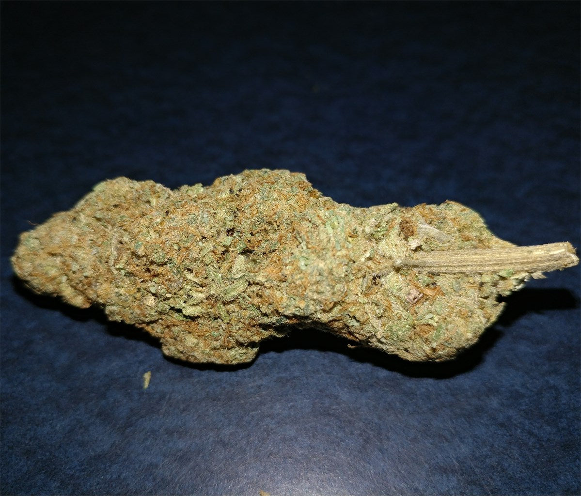 Kosher Tangie marijuana strain flower with orange and citrus flavor and uplifted / euphoric effects - Rare Harvest hybrid