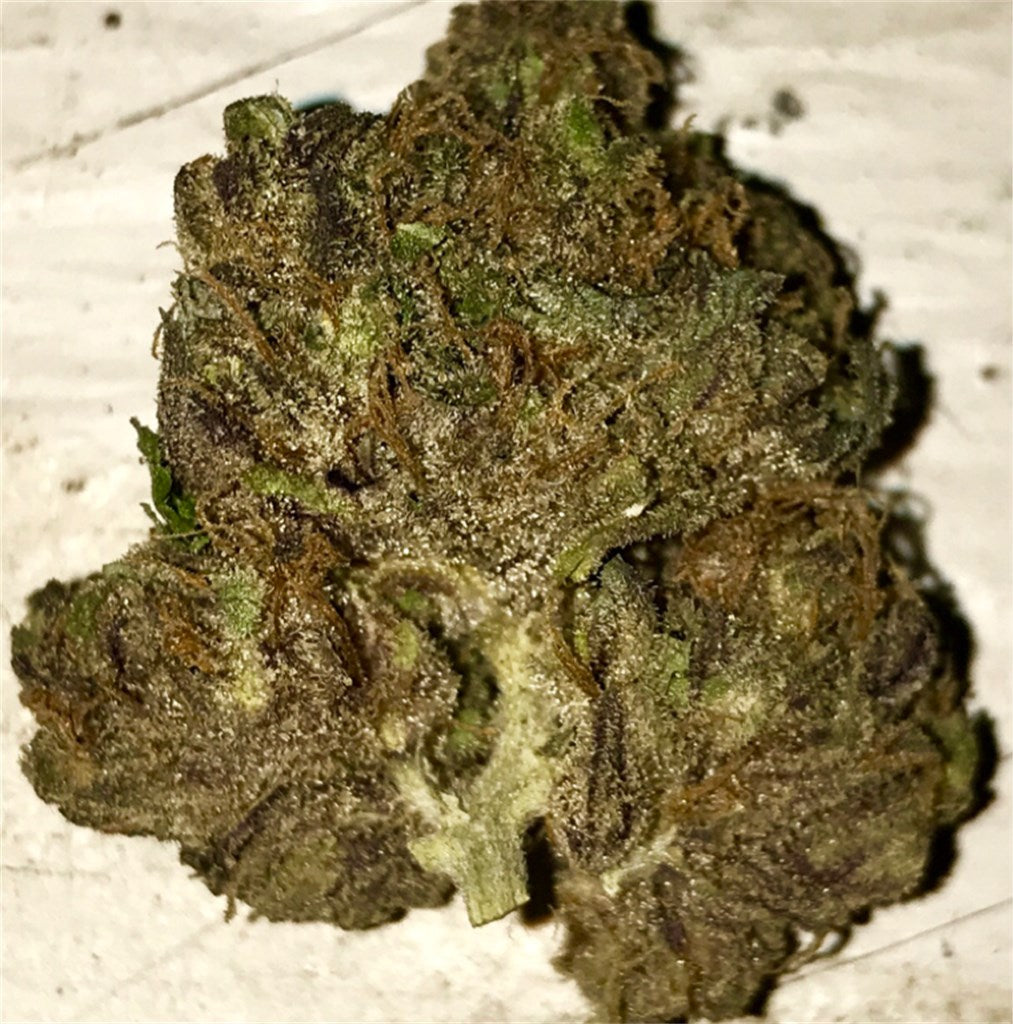 KT Dawg marijuana strain flower with woody and chemical flavor and uplifted / energetic effects - Rare Harvest hybrid
