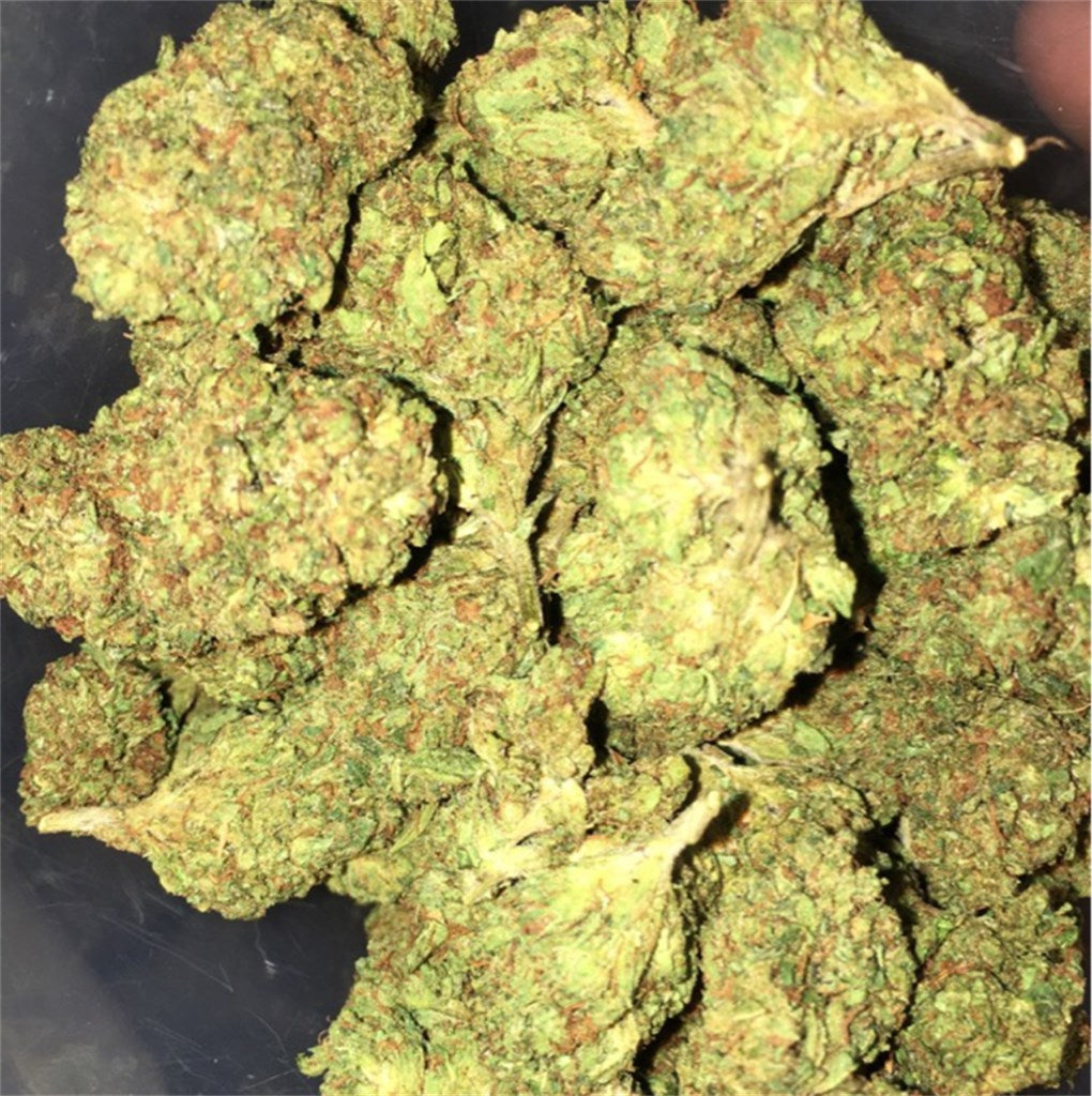 Kuato marijuana strain flower with orange and berry flavor and energetic / creative effects - Rare Harvest hybrid