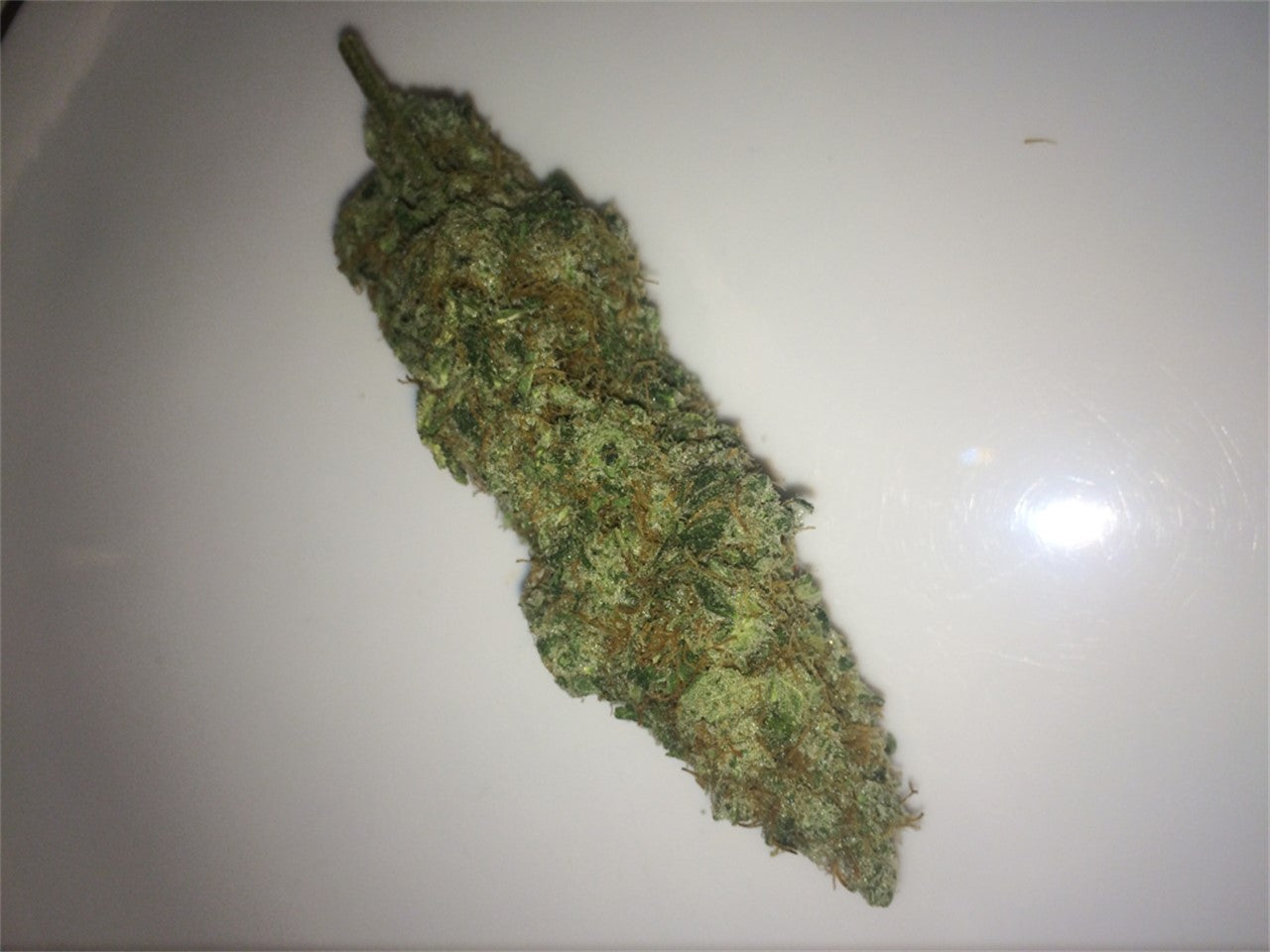 Kush Cleaner marijuana strain flower with woody and chemical flavor and energetic / creative effects - Rare Harvest hybrid