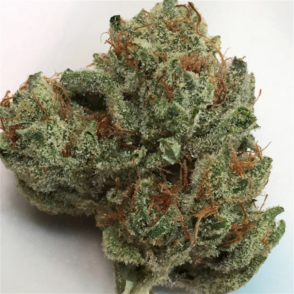 Lake of Fire marijuana strain flower with pine and diesel flavor and relaxed / euphoric effects - Rare Harvest hybrid
