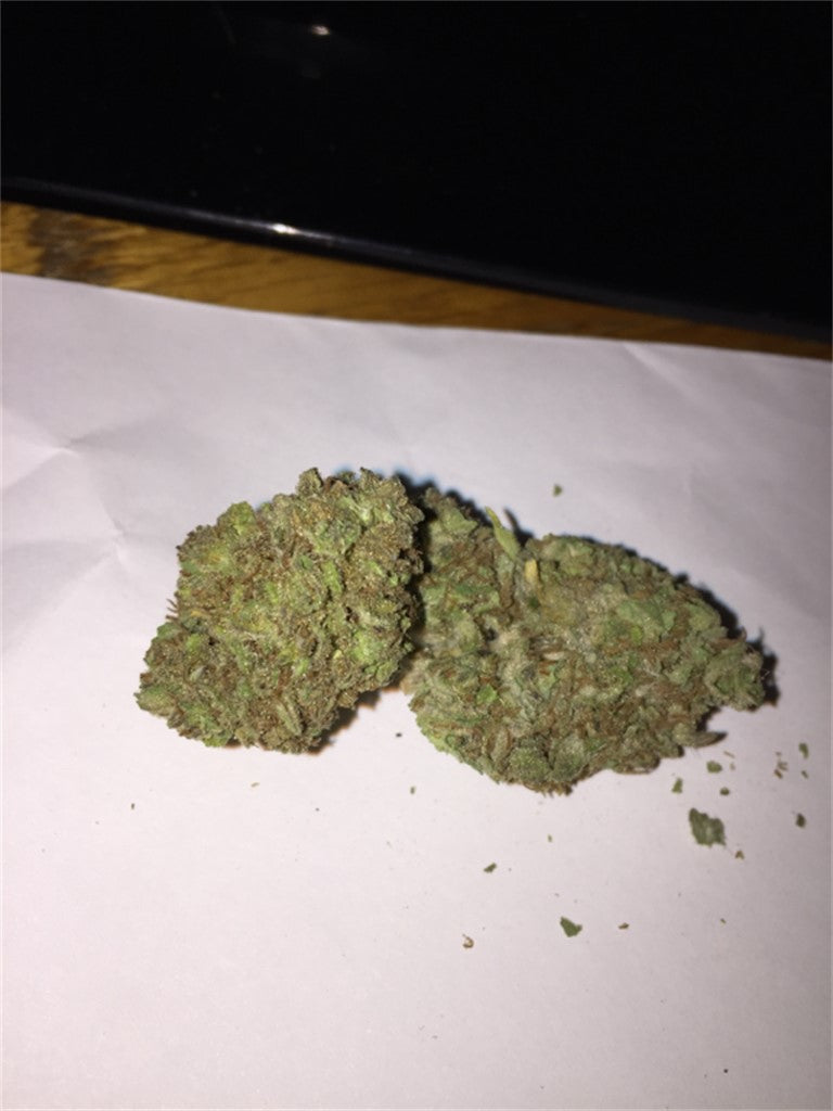Lamborghini marijuana strain flower with pine and diesel flavor and creative / uplifted effects - Rare Harvest hybrid