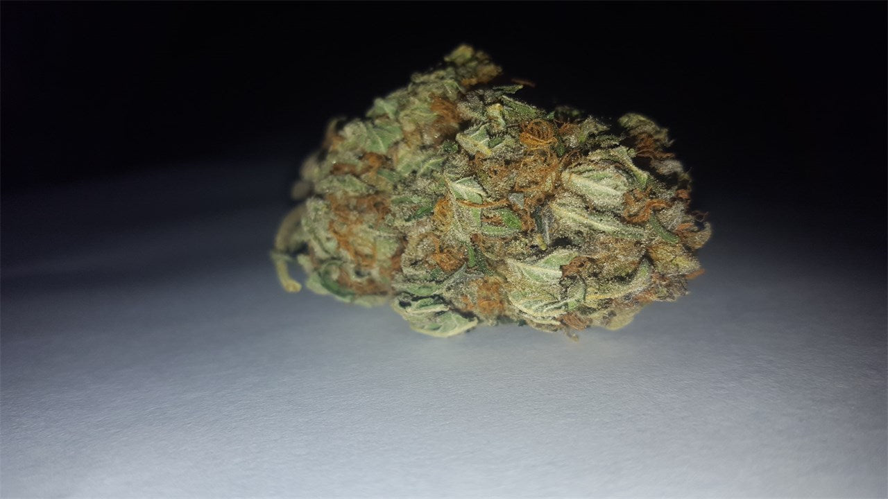 Larry Bird marijuana strain flower with apricot and earthy flavor and happy / relaxed effects - Rare Harvest hybrid