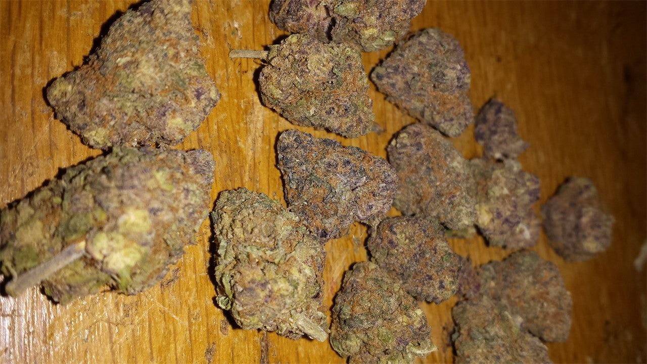 Lavender Haze marijuana strain flower with lavender and flowery flavor and energetic / creative effects - Rare Harvest hybrid