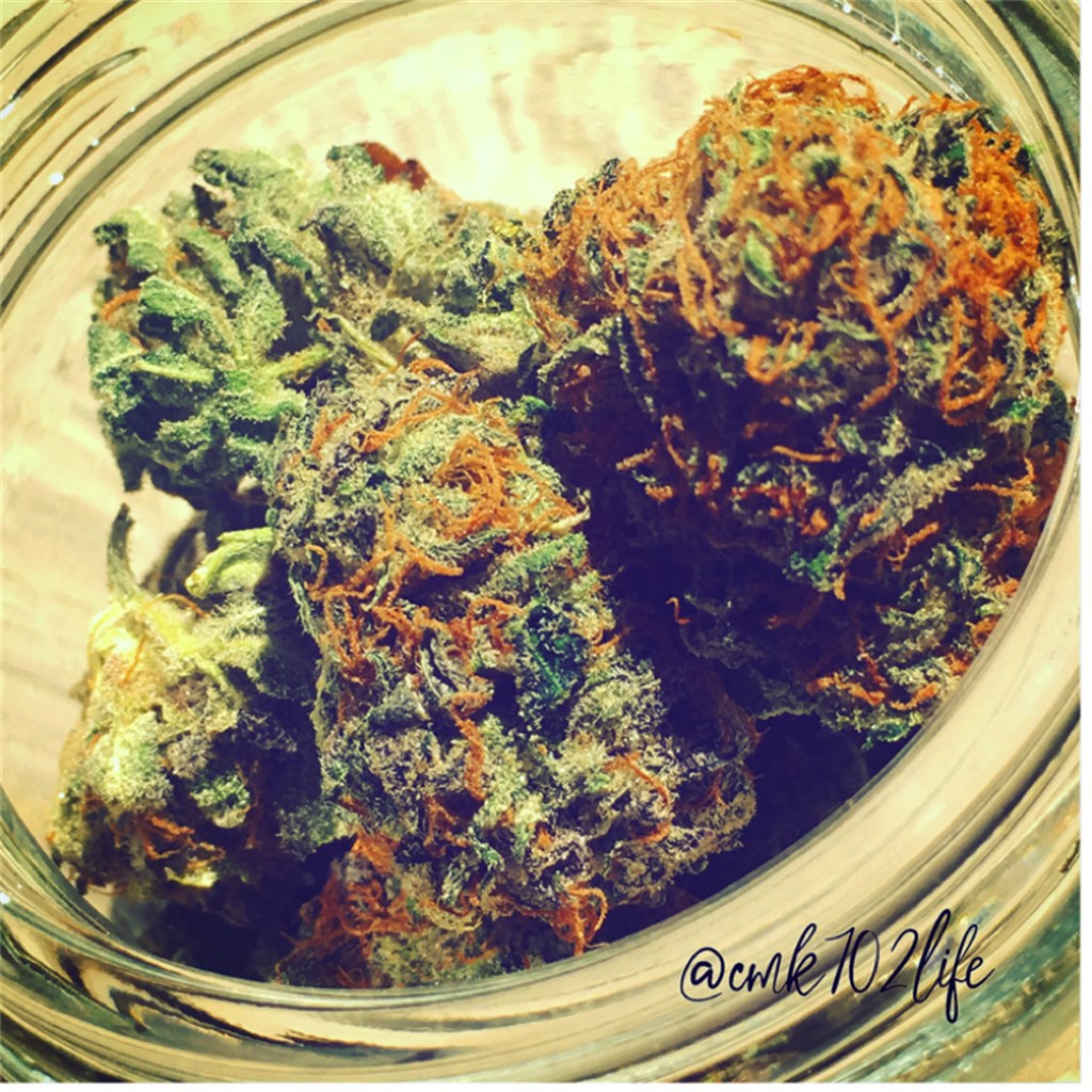 Lavender Jones marijuana strain flower with lavender and flowery flavor and relaxed / aroused effects - Rare Harvest hybrid