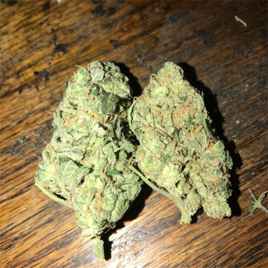 Lee Roy marijuana strain flower with lime and lemon flavor and relaxed / euphoric effects - Rare Harvest indica