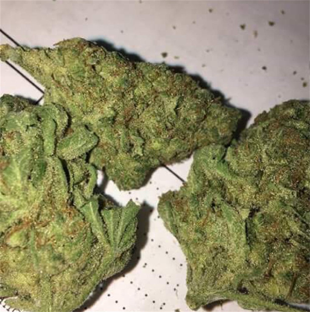 Lem Chem marijuana strain flower with chemical and diesel flavor and energetic / uplifted effects - Rare Harvest hybrid