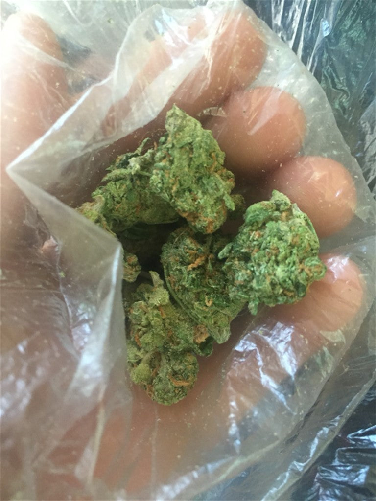 Lemon Bananas marijuana strain flower with lime and lemon flavor and creative / energetic effects - Rare Harvest hybrid