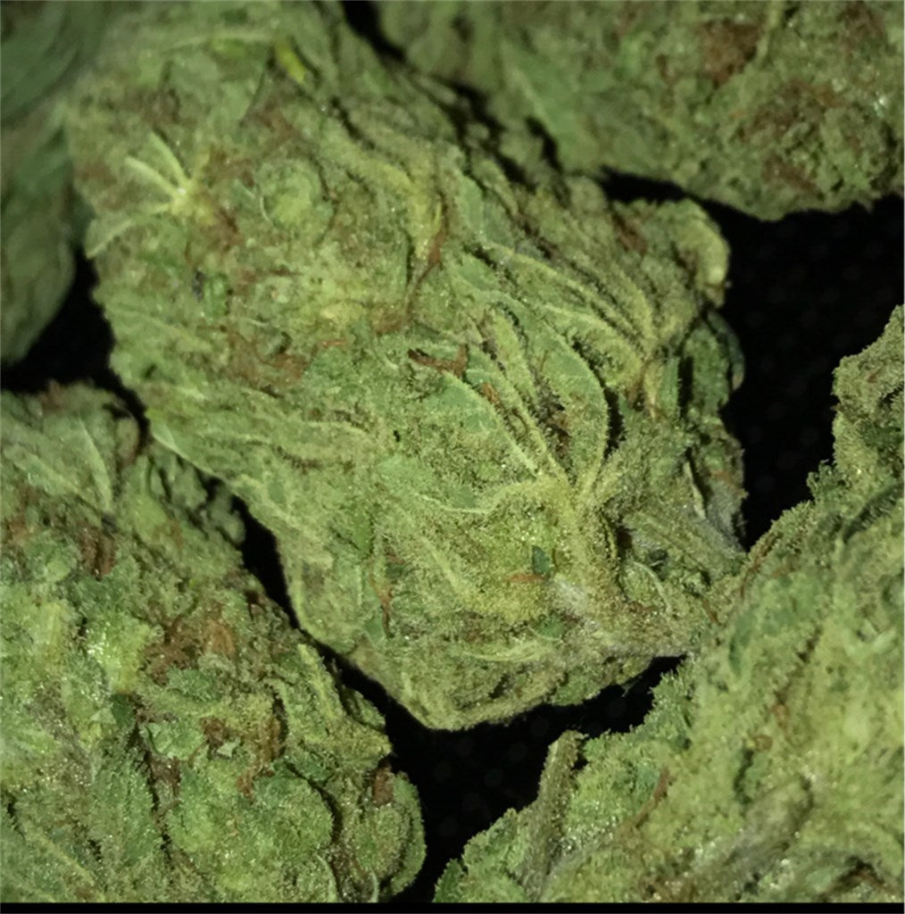 Lemon Diesel marijuana strain flower with lemon and diesel flavor and focused / euphoric effects - Rare Harvest hybrid