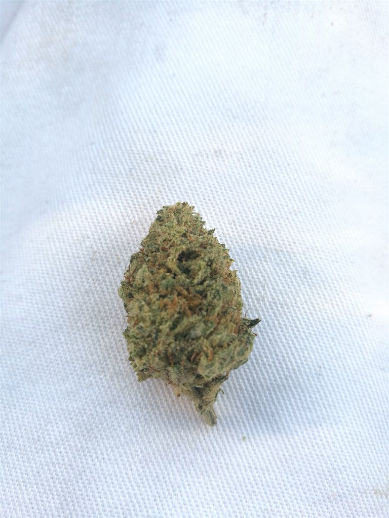 Lemon Larry Lavender marijuana strain flower with lavender and lemon flavor and energetic / creative effects - Rare Harvest hybrid