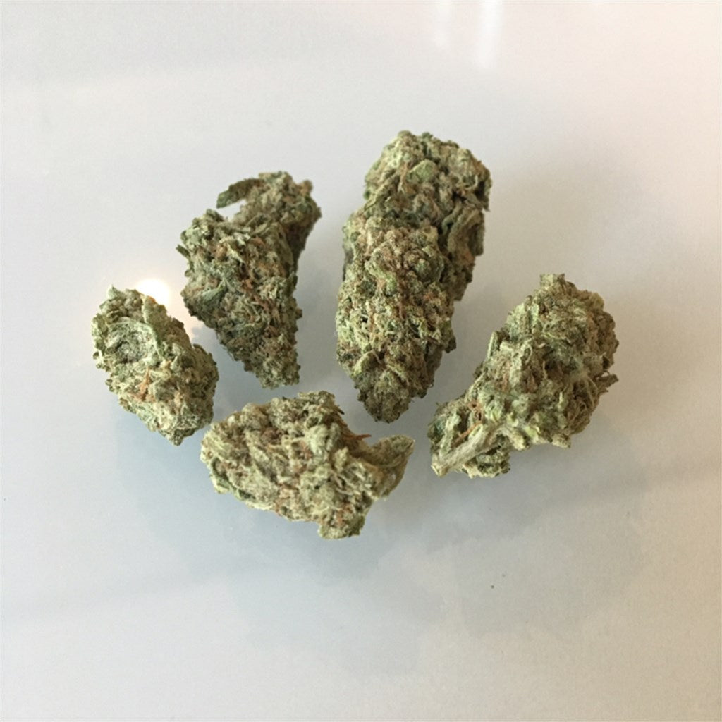 Lemon Pie marijuana strain flower with lemon and citrus flavor and energetic / uplifted effects - Rare Harvest sativa