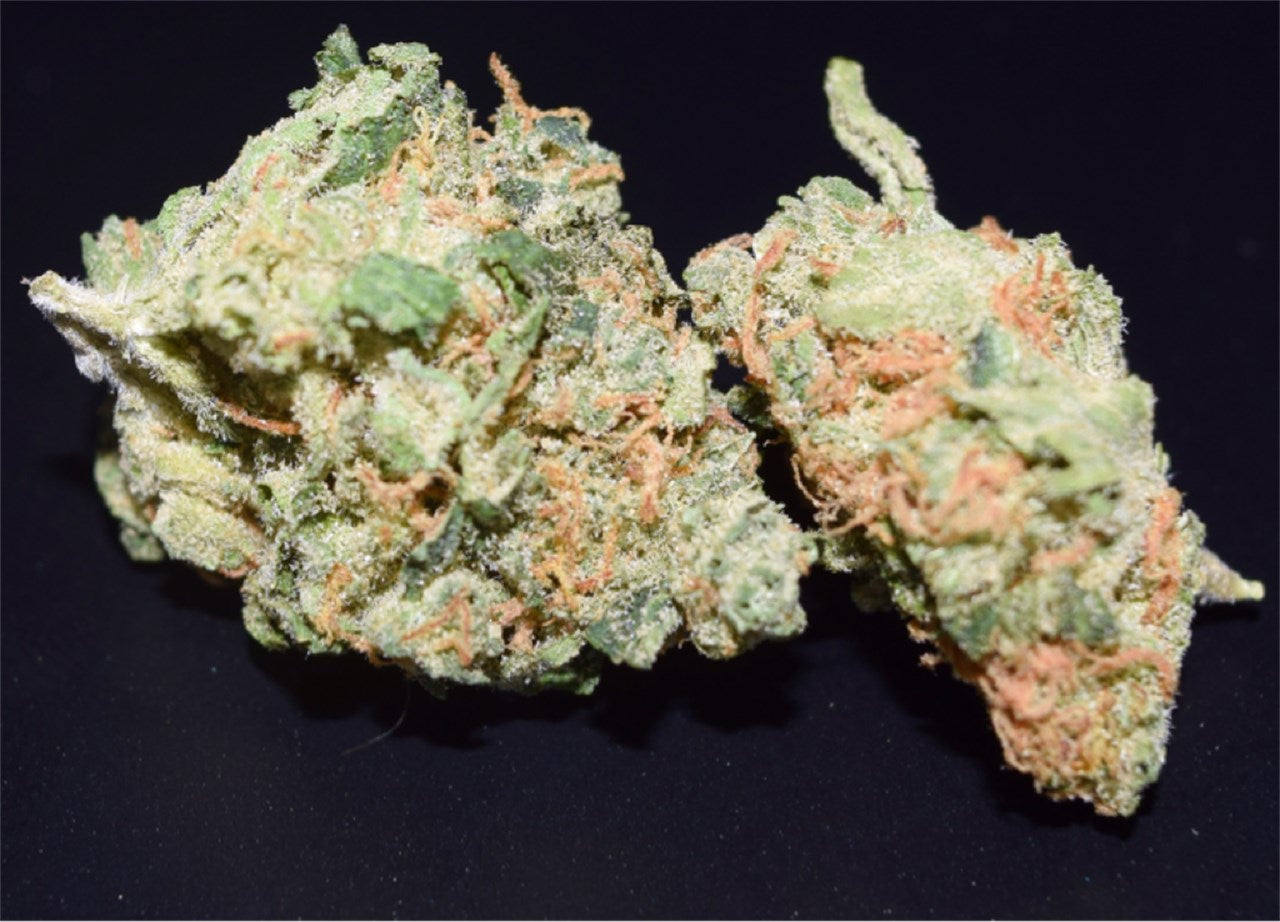 Lemon Skunk marijuana strain flower with lemon and skunk flavor and happy / uplifted effects - Rare Harvest hybrid