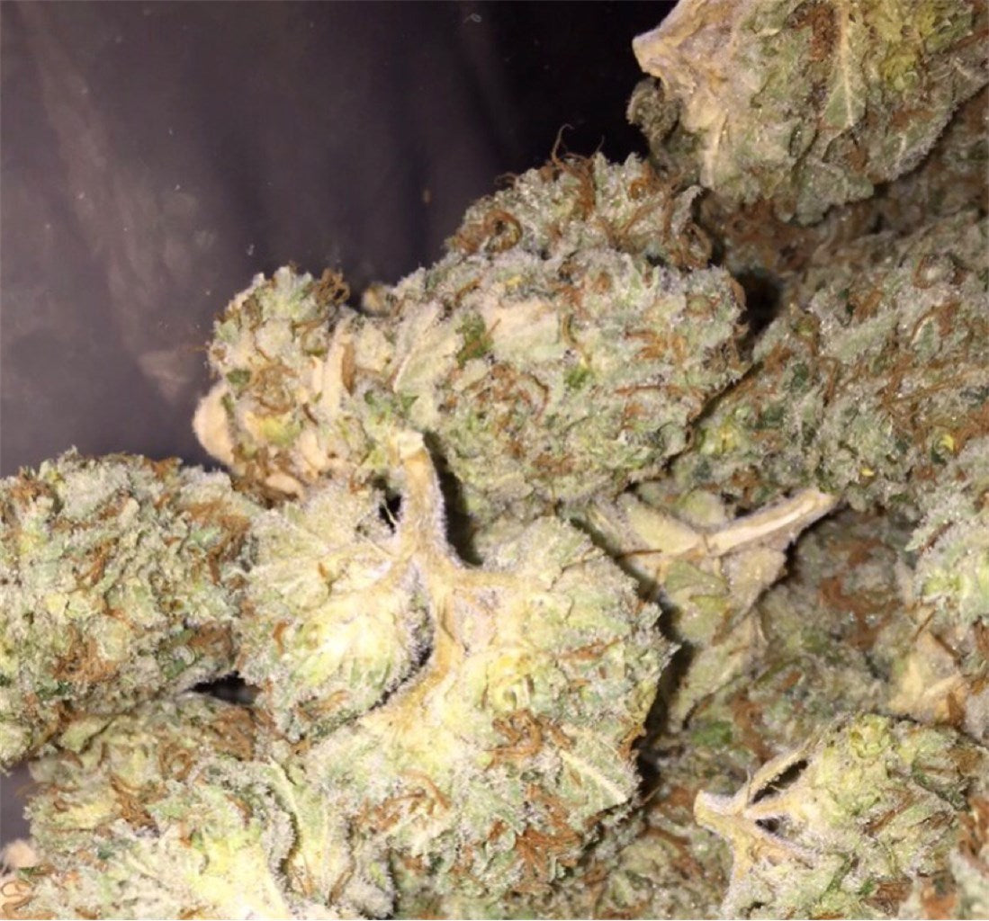 Lemon Thai marijuana strain flower with lemon and citrus flavor and energetic / focused effects - Rare Harvest sativa