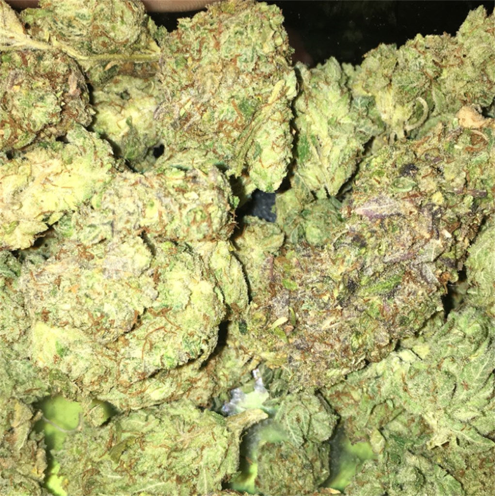 Lemon Walker OG marijuana strain flower with lemon and citrus flavor and focused / energetic effects - Rare Harvest hybrid