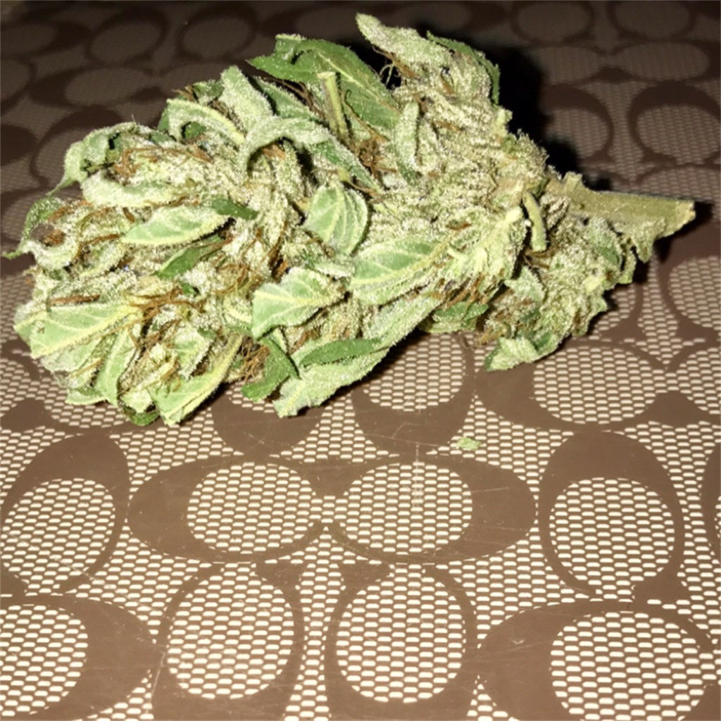 Lemon Trainwreck marijuana strain flower with lemon and citrus flavor and creative / hungry effects - Rare Harvest hybrid