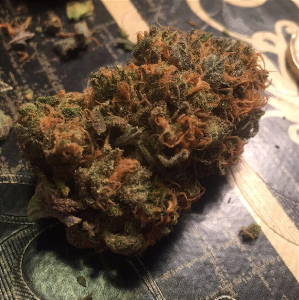 Lemonhead OG marijuana strain flower with lemon and citrus flavor and talkative / relaxed effects - Rare Harvest hybrid