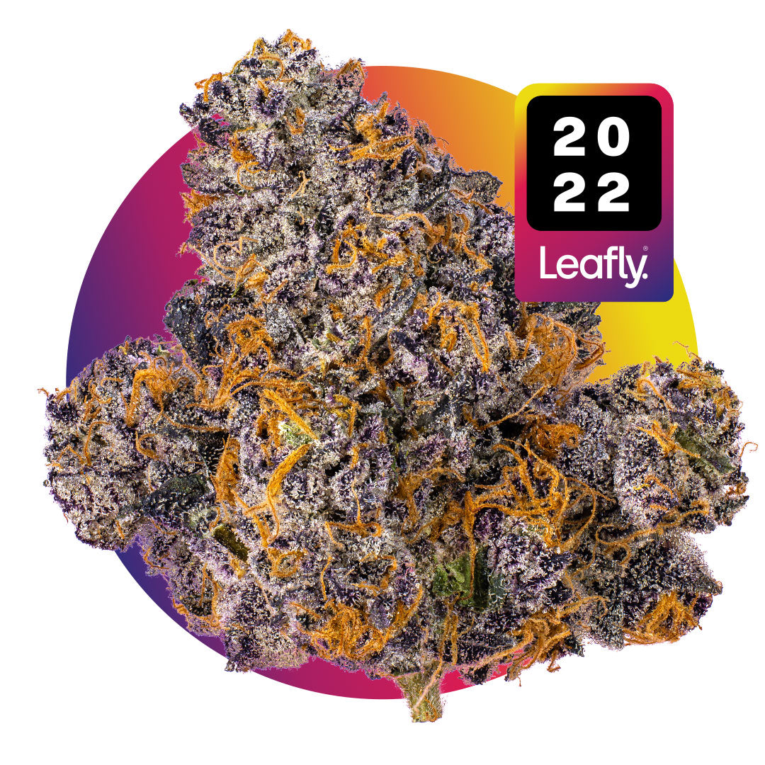 Jealousy marijuana strain flower with pepper and plum flavor and giggly / relaxed effects - Rare Harvest hybrid