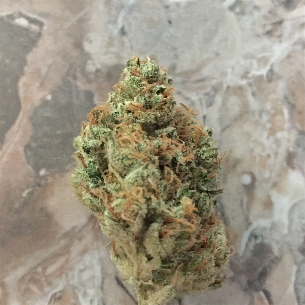 Lime Sorbet marijuana strain flower with lime and citrus flavor and sleepy / relaxed effects - Rare Harvest indica
