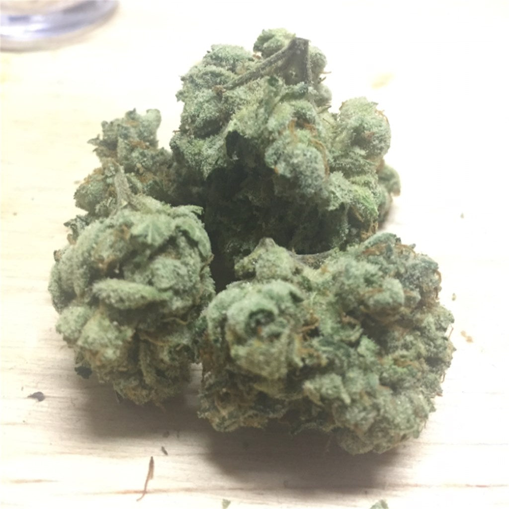 Little Dragon marijuana strain flower with mango and orange flavor and energetic / focused effects - Rare Harvest hybrid