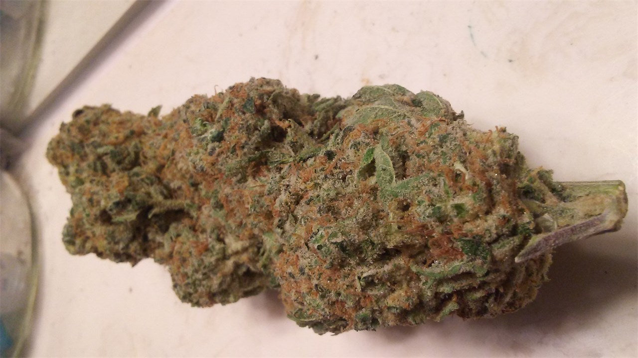 Locomotion marijuana strain flower with diesel and earthy flavor and relaxed / euphoric effects - Rare Harvest indica