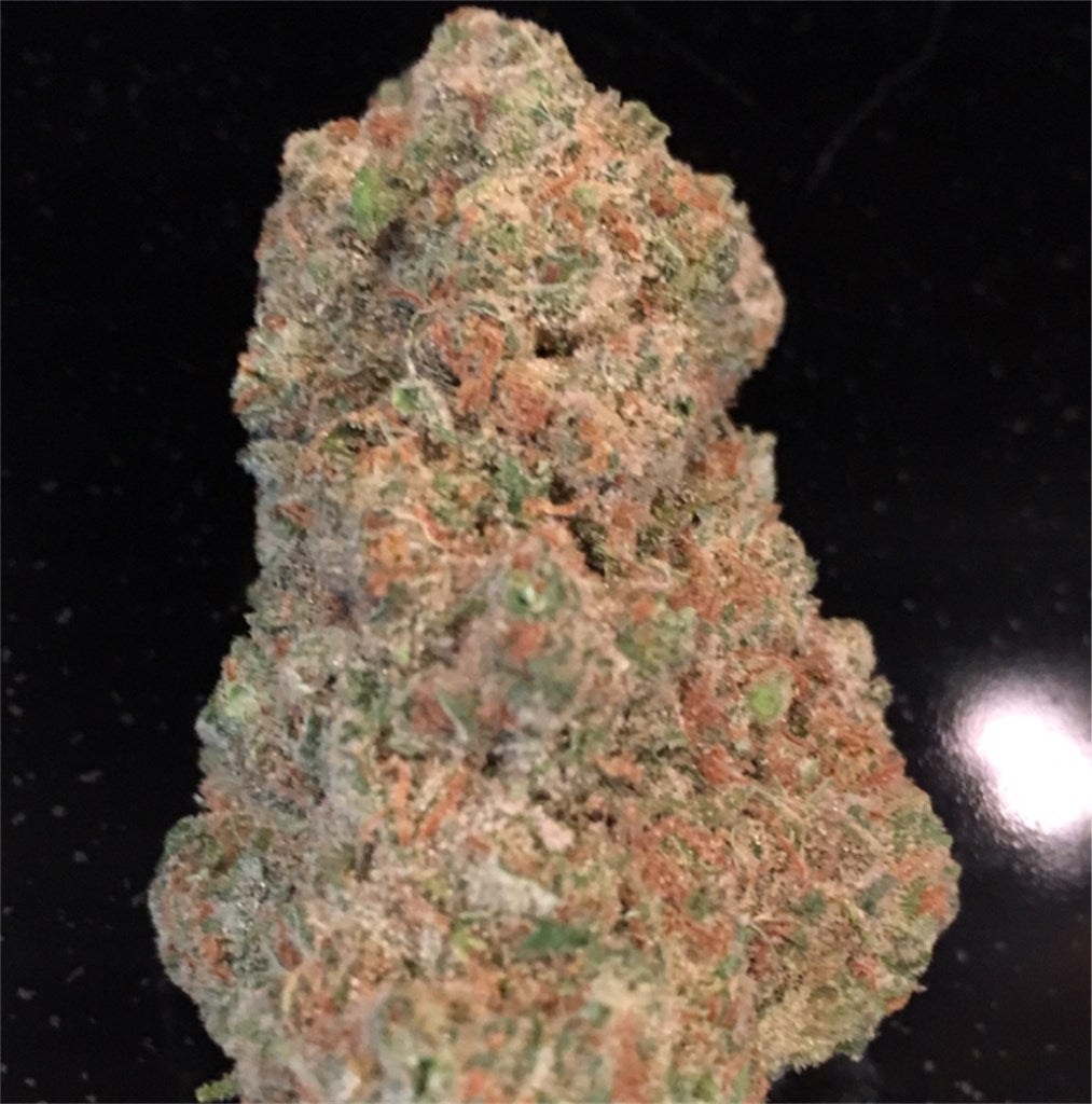 Lodi Dodi marijuana strain flower with flowery and honey flavor and giggly / creative effects - Rare Harvest hybrid