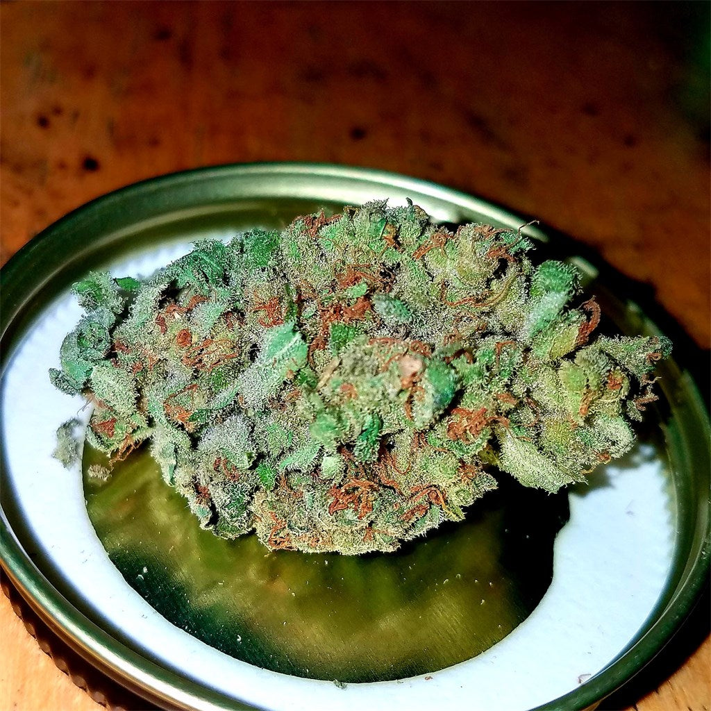 Loud Dream marijuana strain flower with earthy and tropical flavor and creative / focused effects - Rare Harvest hybrid