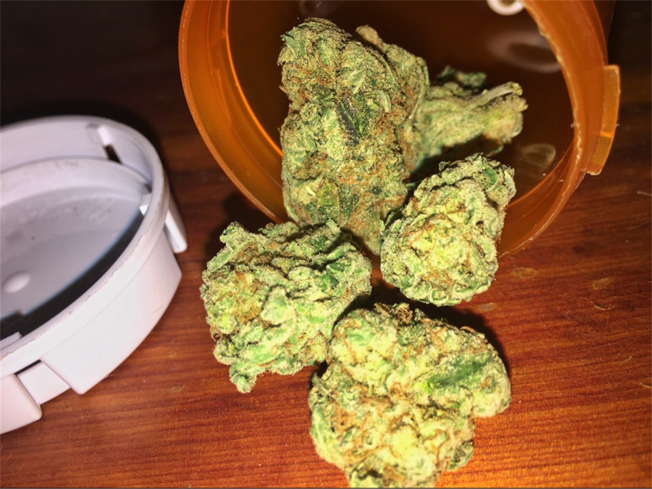 Loud Scout marijuana strain flower with grape and tropical flavor and energetic / creative effects - Rare Harvest hybrid