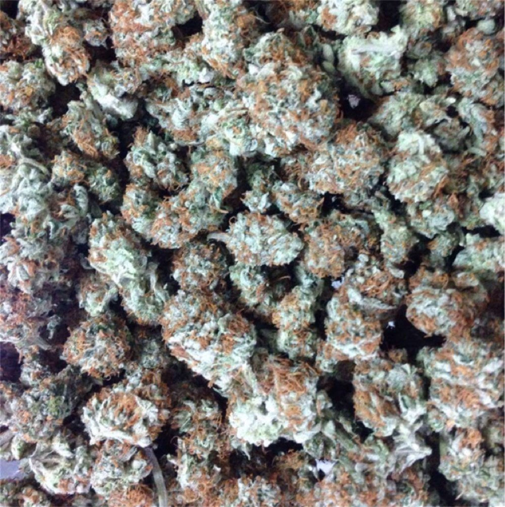M-39 marijuana strain flower with woody and tobacco flavor and sleepy / hungry effects - Rare Harvest indica